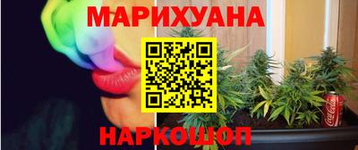 стаф Можга