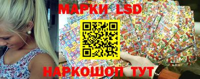 стаф Можга