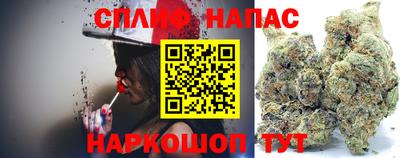 стаф Можга