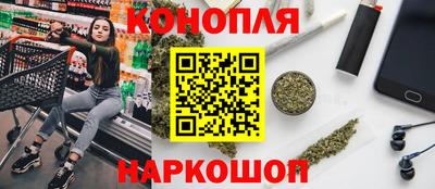 стаф Можга