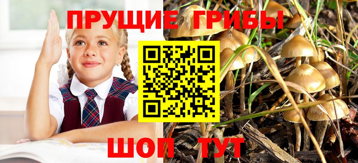 Псилоцибиновые грибы MAGIC MUSHROOMS  Вход с VPN  Галлюциногенные грибы мухоморы  Тулун 