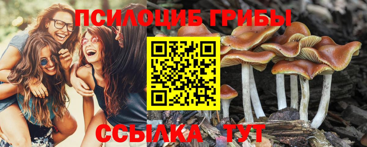 Псилоцибиновые грибы GOLDEN TEACHER Тулун